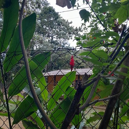 Sitio das bromelias Cachoeira do Tombador Ubatuba Exterior foto