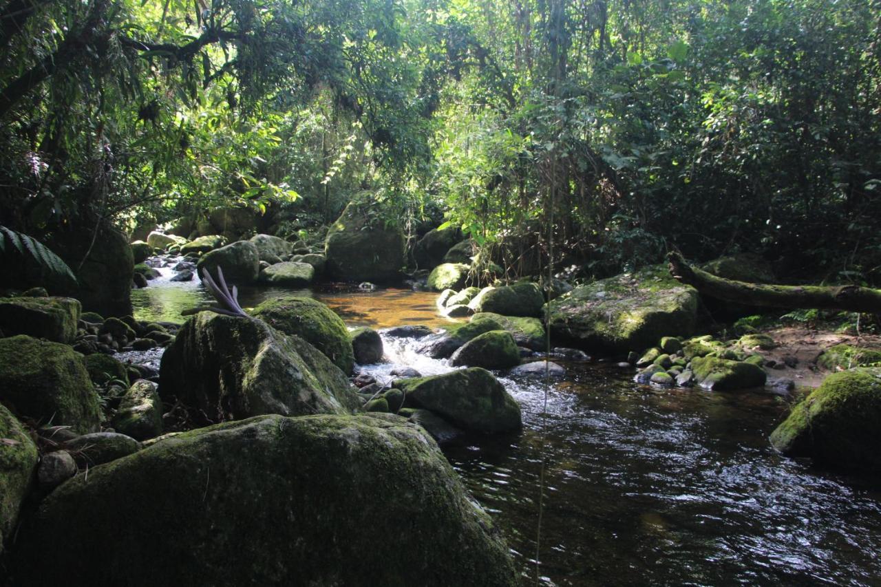 Sitio das bromelias Cachoeira do Tombador Ubatuba Exterior foto
