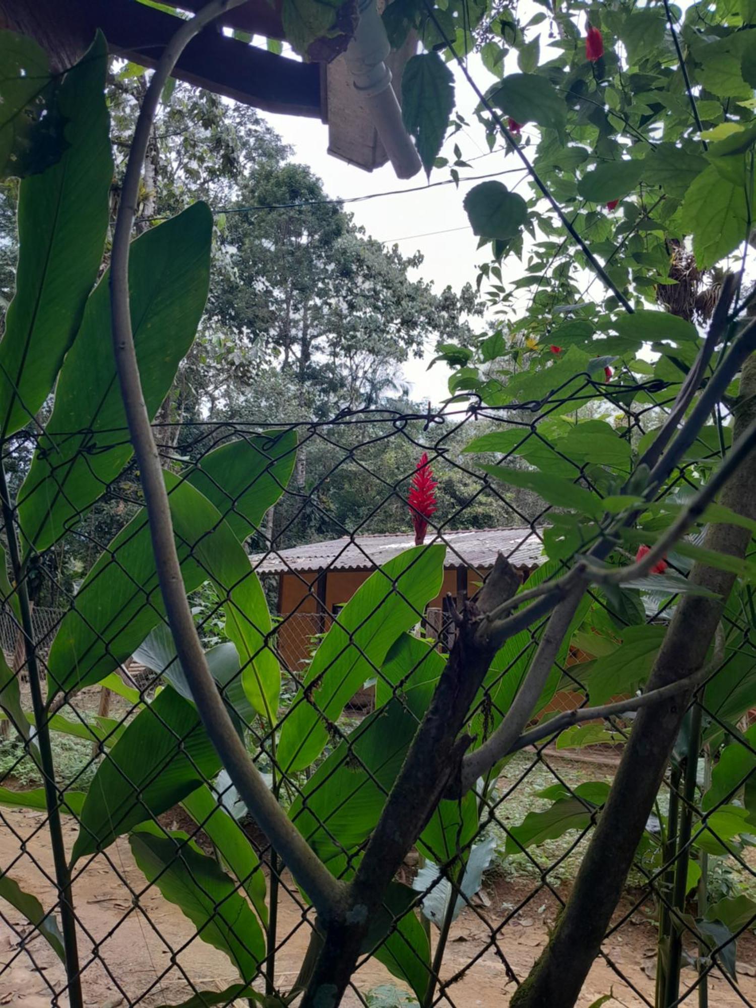 Sitio das bromelias Cachoeira do Tombador Ubatuba Exterior foto